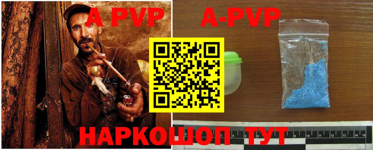 APVP СК Вологда